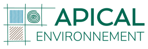 logo_apical